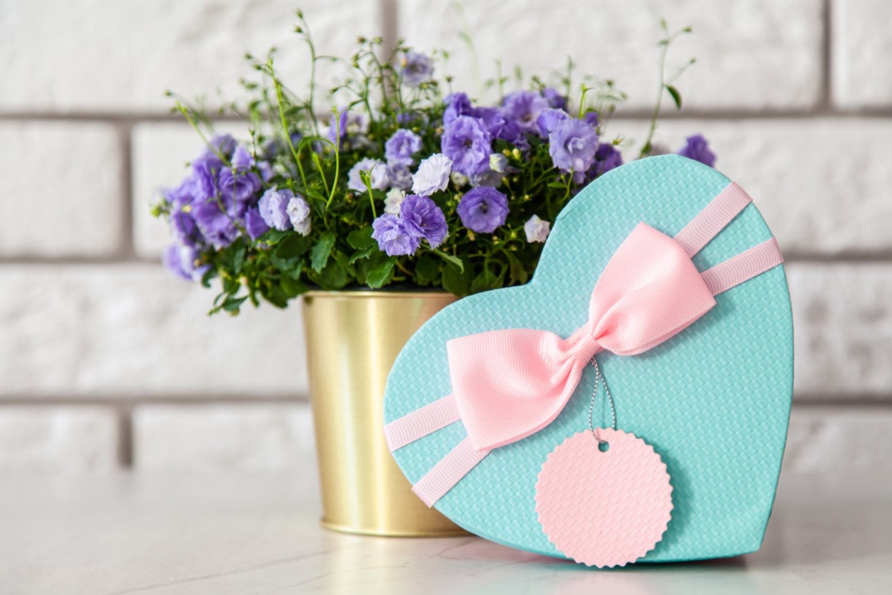 Що подарувати дівчині на 8 Березня: ідеї та підказки